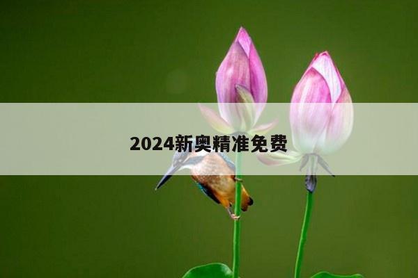 2024新奧精準(zhǔn)免費(fèi)