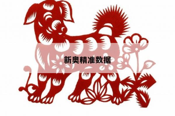 新奧精準(zhǔn)數(shù)據(jù)/新奧大數(shù)據(jù)