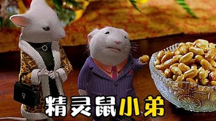 精靈鼠小弟2國語在線觀看,最佳精選數(shù)據(jù)資料_手機版24.02.60