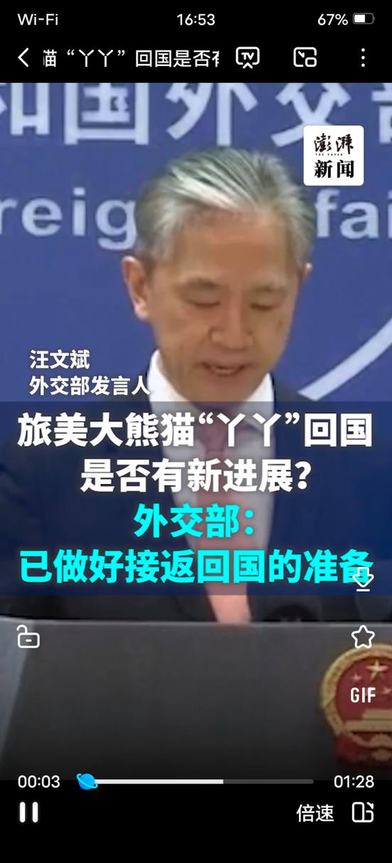 2022年澳門開獎結(jié)果和4旅日大熊貓將回國與旅日20年熊貓將回國 視頻