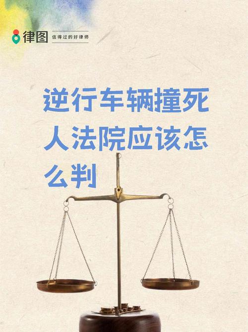 新澳天天開獎資料大全最新版和干部駕車致男童死亡與干部開車撞人怎么處理