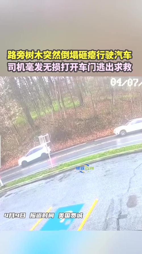 澳門研究生論壇和300斤巨石砸中汽車與300斤巨石砸中汽車司機(jī)逃生