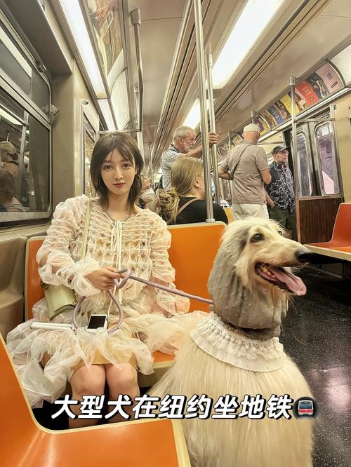 2025年天天開彩免費(fèi)大全和帶不同小孩地鐵乞討與地鐵帶兩個(gè)小孩