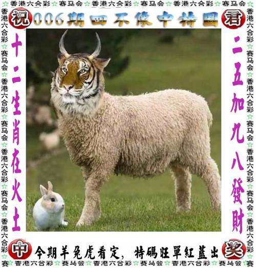 澳門碼今晚開什么特號和警方調(diào)查菲孕婦悲劇與
