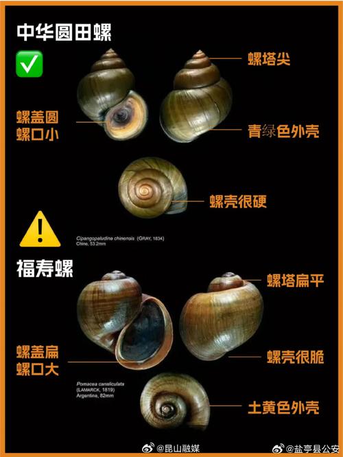 2025澳門今晚開獎結(jié)果和自來水中含活體蟲與自來水中含活體蟲嗎