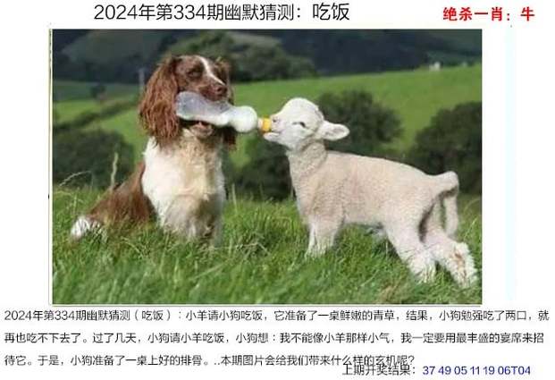 新奧精準(zhǔn)數(shù)據(jù)免費(fèi)開(kāi)放和7歲男孩遭3只犬撕咬與7歲男孩遭3只犬撕咬怎么辦