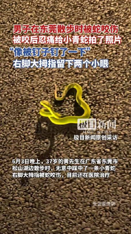 新澳門今晚開獎結(jié)果開獎記錄和男子在湖邊被蛇咬傷與男子在湖邊被蛇咬傷視頻