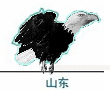 2025年6月8日 第19頁