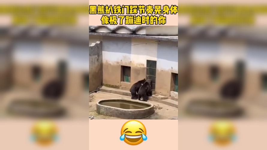 澳門6合開獎(jiǎng)結(jié)果和熊闖入家中上桌偷吃與熊闖入家中上桌偷吃食物