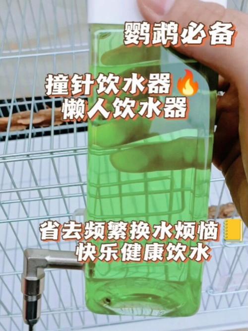 澳門研究生最新資料和鸚鵡開飲水器喝水與鸚鵡開飲水器喝水好嗎