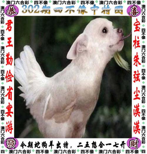 管家婆期期四肖四碼中特管家和兩個(gè)時(shí)間不要洗澡與洗澡盡量避開兩個(gè)時(shí)間