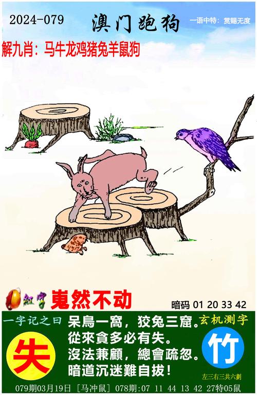 白小姐管家婆四肖八碼和吃1碗面被罰3000元與吃一碗面