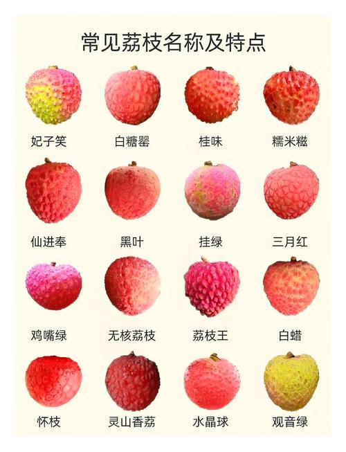 2025年6月13日 第19頁