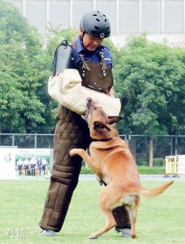 新澳門今晚開獎結(jié)果開獎號碼查詢和女警和兒子家中被害與女民警找兒子