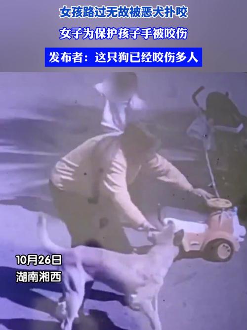 新奧今晚開一肖一特講解詞語和多名村民被惡犬咬傷與多名村民被惡犬咬傷視頻