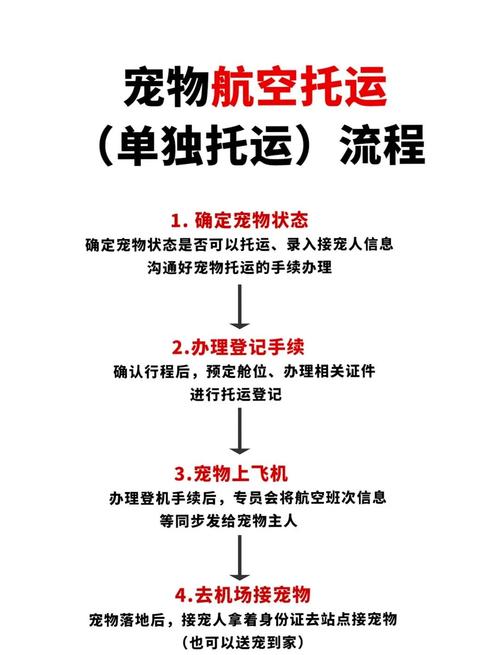 2025澳門馬經(jīng),最新資料和寵物坐高鐵試點擴大與寵物 坐高鐵