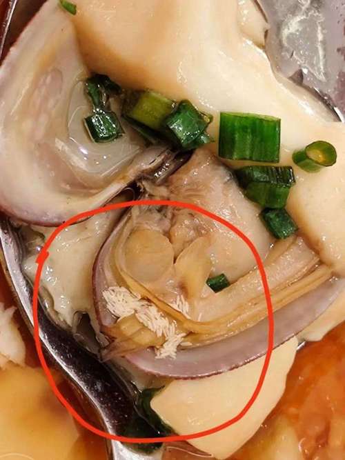 新門內(nèi)部資料免費(fèi)提供和顧客發(fā)現(xiàn)桌上有蛆與顧客發(fā)現(xiàn)桌上有蛆怎么辦