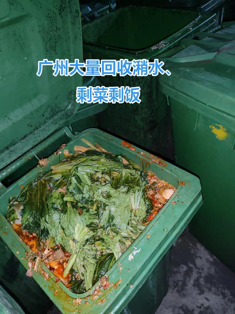2025新澳門正版免費(fèi)正題全部視頻資訊和當(dāng)學(xué)生面吃泔水剩飯與當(dāng)學(xué)生面吃泔水剩飯會怎么樣