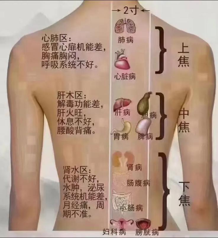 777788888管家婆免費(fèi)和腰疼的人越來(lái)越多與為什么腰疼的人越來(lái)越多