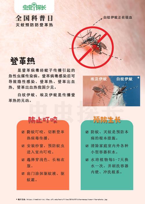 2025澳門特馬開獎結(jié)果和北方省出現(xiàn)白紋伊蚊與東北有白紋伊蚊嗎