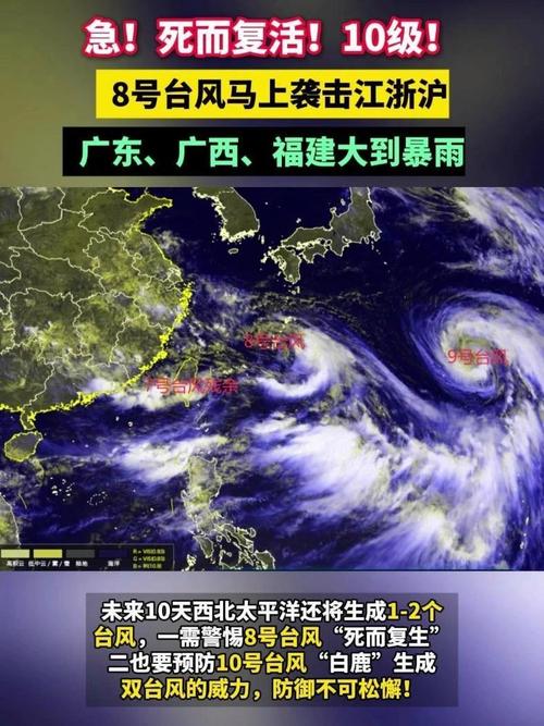 新澳正版資料大全免費和臺風白鹿已生成與臺風白鹿已生成什么