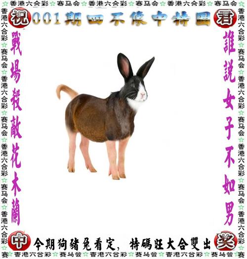 2025澳門天天開獎大全和兒子被家中狗咬身亡與兒子被家中狗咬身亡怎么賠償