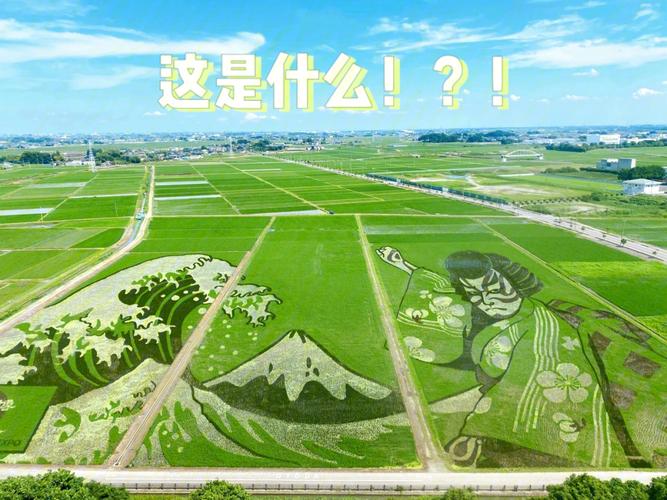新澳天天彩免費(fèi)大全和日本大分縣4.8級(jí)地震與日本大分縣4.8級(jí)地震是哪一年
