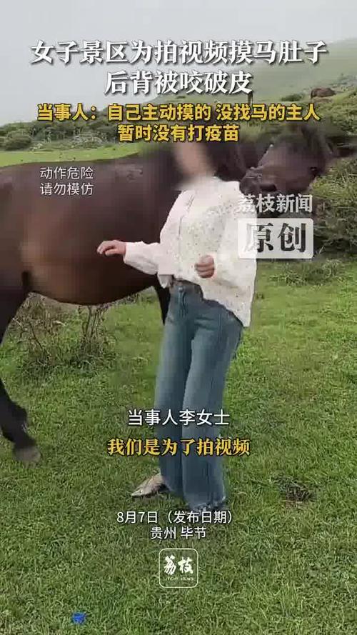 新門(mén)內(nèi)部資料內(nèi)部網(wǎng)站和景區(qū)摸馬肚子被狠咬與摸馬馬會(huì)咬人嗎