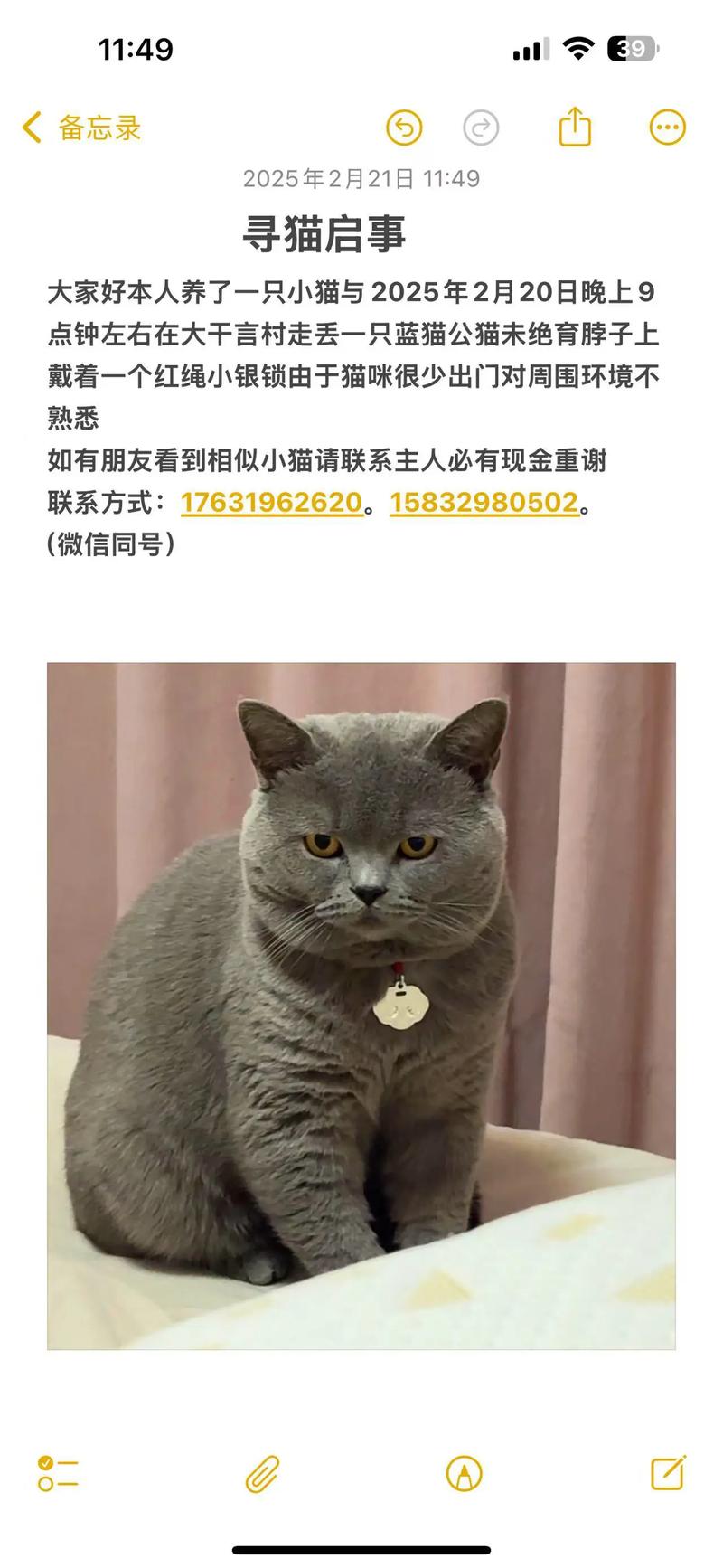 2025澳門全年資料免費(fèi)大全和貓咪撞臉表情包走紅與貓撞臉明星