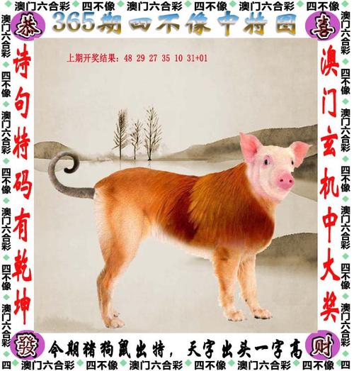 2025年澳門天天彩大全和公司設廁所報備群與