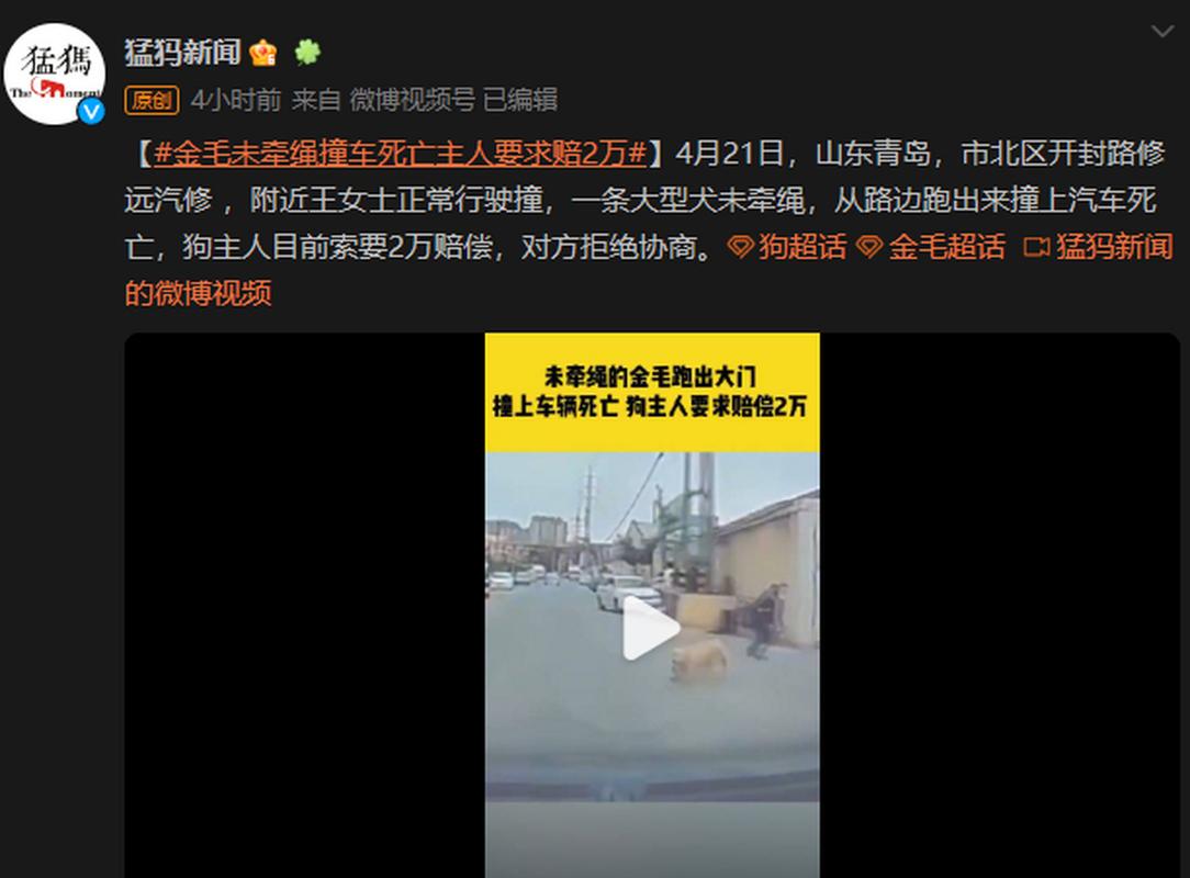 2025澳門開獎(jiǎng)結(jié)果記錄查詢和未牽繩大狗撲1歲娃與未牽繩小狗被大狗咬死