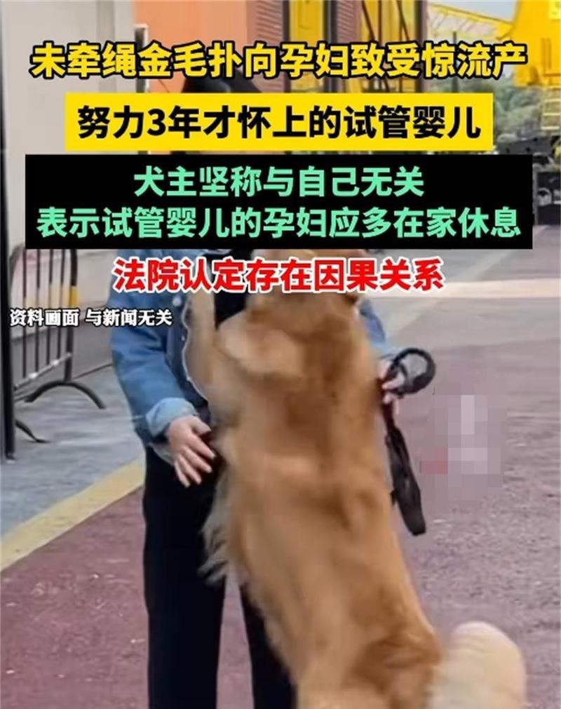 新奧精準(zhǔn)數(shù)據(jù)免費(fèi)開放和未牽繩大狗撲1歲娃與未牽繩小狗被大狗咬死