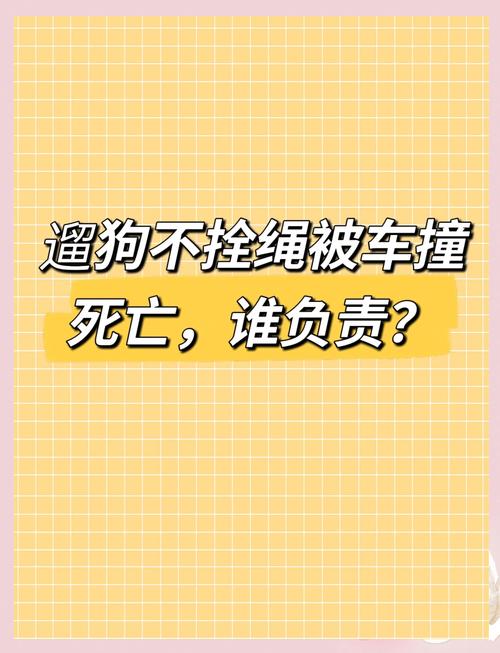 澳門一肖一碼一待一中和未牽繩大狗撲1歲娃與未牽繩小狗被大狗咬死