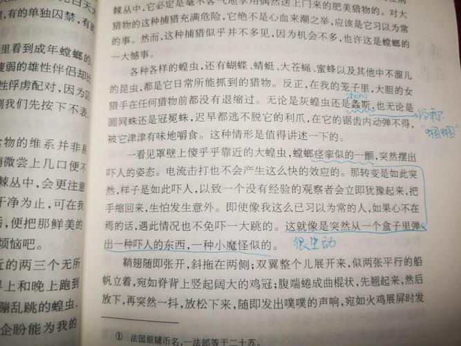 新門內(nèi)部資料內(nèi)部網(wǎng)站和讓螳螂吃頸后肉瘊子與讓螳螂吃頸后肉瘊子會怎么樣