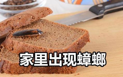 新澳門開獎(jiǎng)記錄和三亞一酒店蟲子成群與三亞酒店有蟑螂是正?，F(xiàn)象嗎