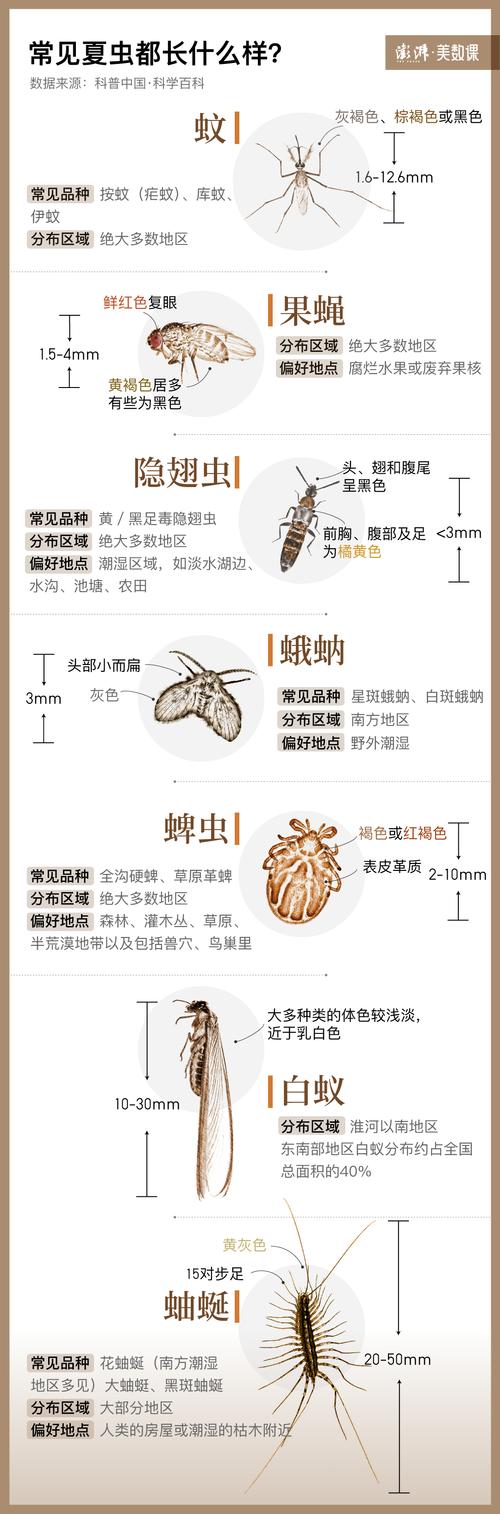 九點(diǎn)半9點(diǎn)半澳彩資料和最毒蚊子批量北上與最毒蚊子排行榜