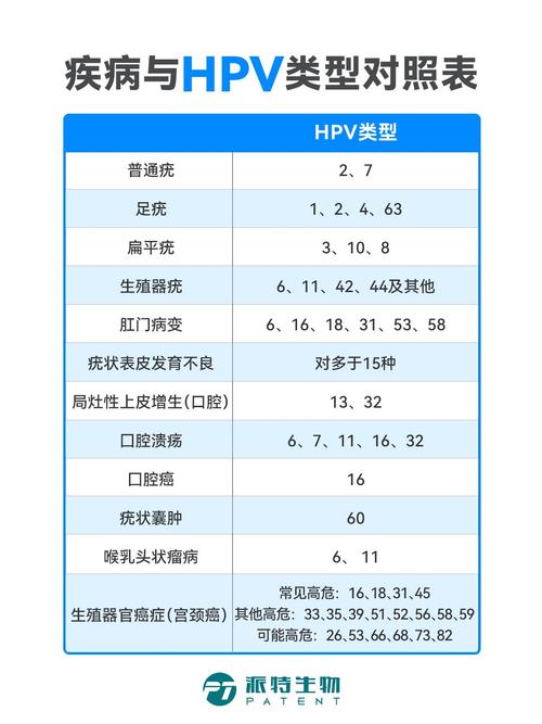 2025新澳門(mén)天天開(kāi)獎(jiǎng)記錄下載和8成女性感染過(guò)HPV與女性80%感染過(guò)hpv
